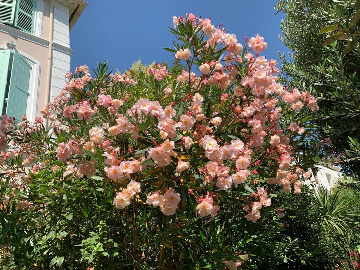 Domaine De L'Aufrene Bed & Breakfast Hyères Eksteriør bilde