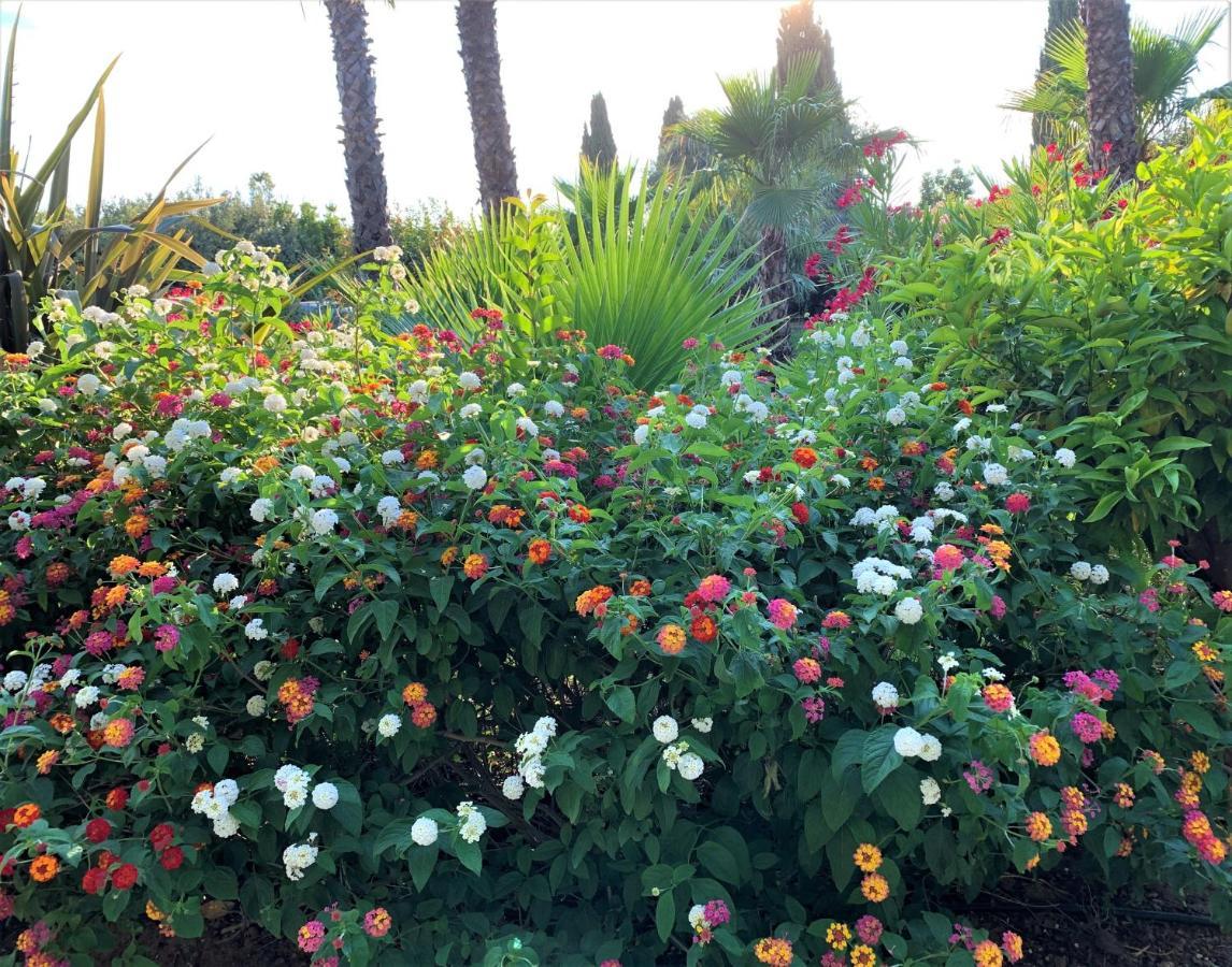Domaine De L'Aufrene Bed & Breakfast Hyères Eksteriør bilde