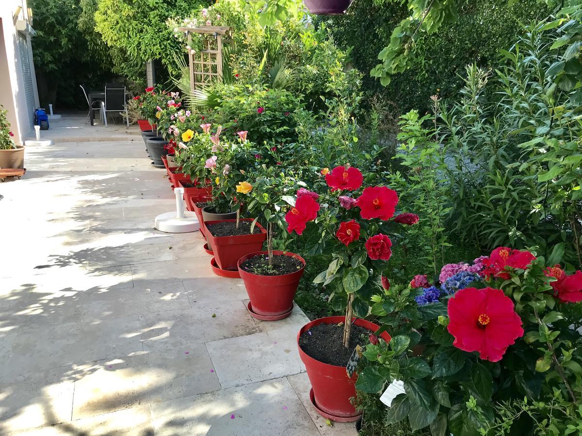 Domaine De L'Aufrene Bed & Breakfast Hyères Eksteriør bilde